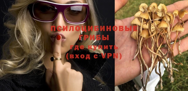 дурь Семёнов